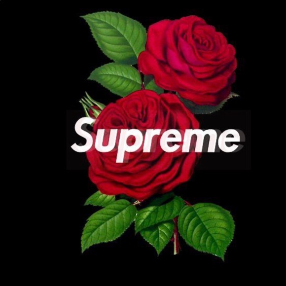 Meet your Posher, Justice - Picture 3 of 4